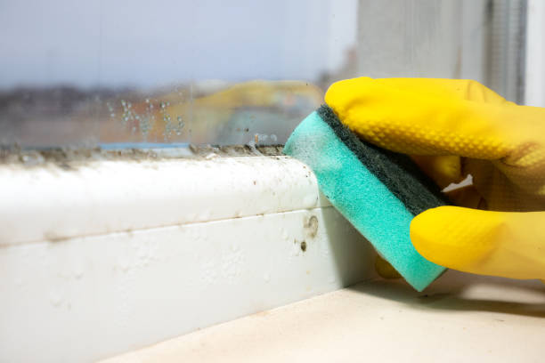 Best Industrial Mold Remediation in Crestview Hills, KY